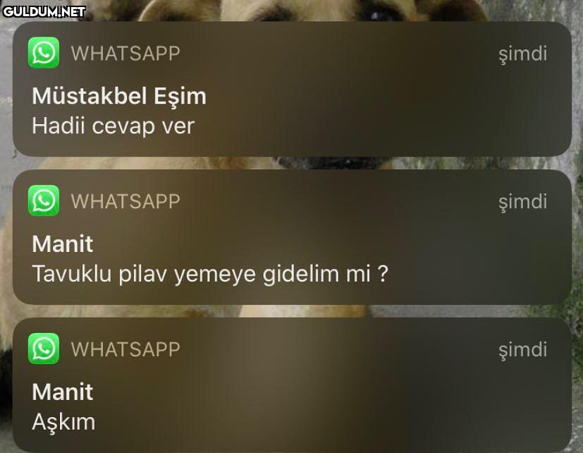 1 yeni mesaj O WHATSAPP...