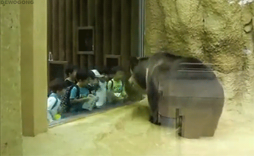 chayseisking21:  yinasmovies:  sempit-ernal:  adolf-in-wonderland:  lucylovestigers:  laidxout:  COME ON GET DOWN WITH THE SICKNESS!!!   OPEN THIS FUCKING PIT UP  so punk rock  I could not NOT reblog this   No this a nigga bear