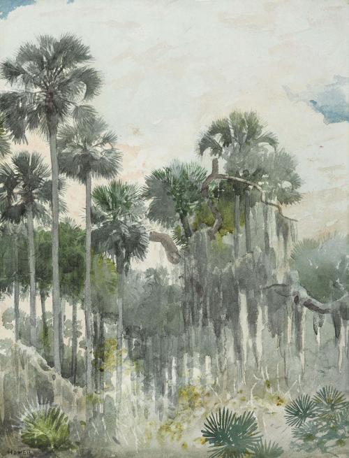 vizuart:Winslow Homer - Florida Jungle (1886)