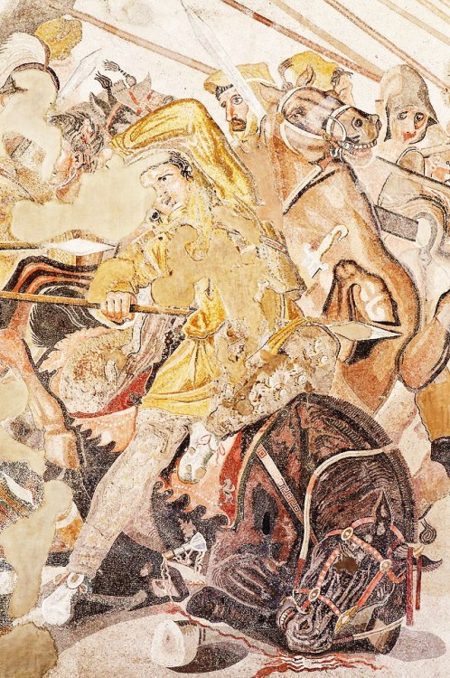 last-of-the-romans:  Details from the Ancient Roman mosaic ‘The Battle between Alexander and Darius’, located at the Naples Archaeological Museum.  