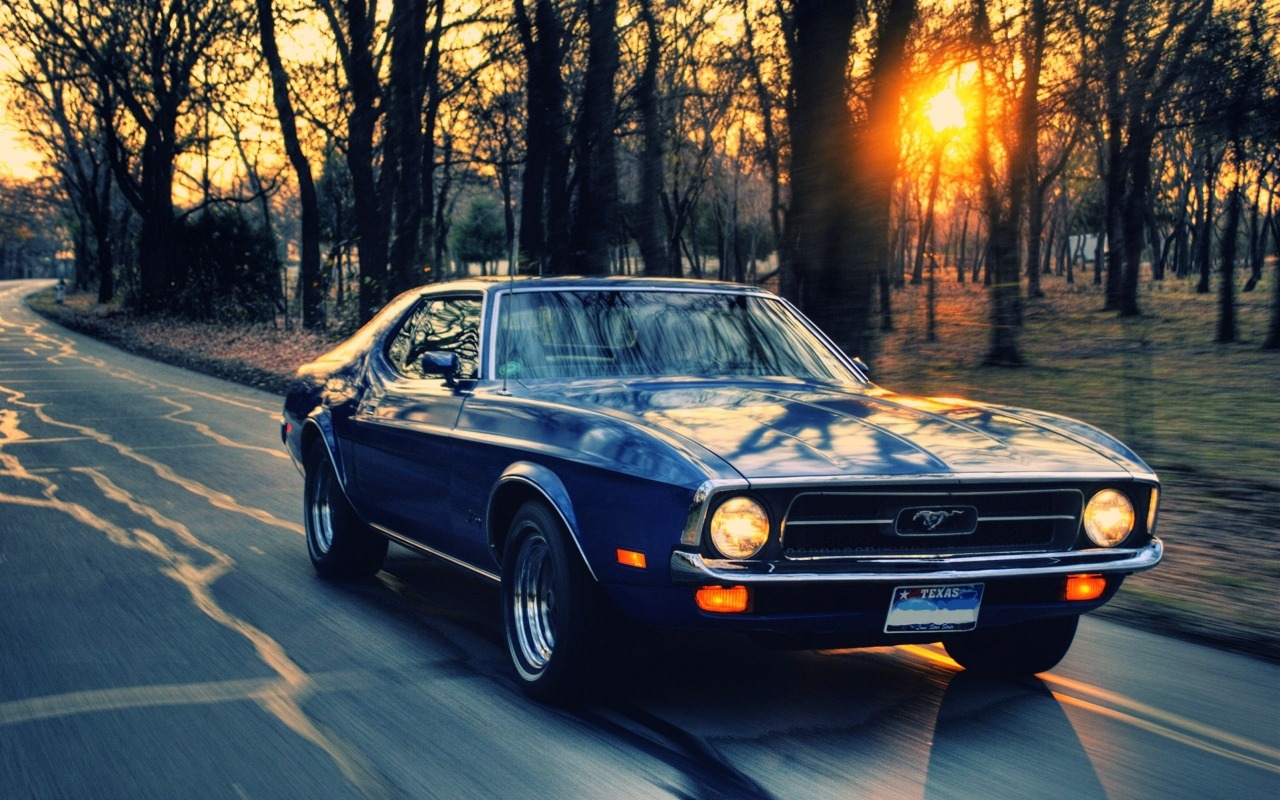 Muscle Cars Fans