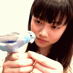 ばってん少女隊 Explore Tumblr Posts And Blogs Tumgir