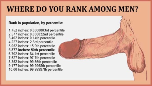 Porn Pics somewhereinthedetails:  1 in 4497.7th percentile1%