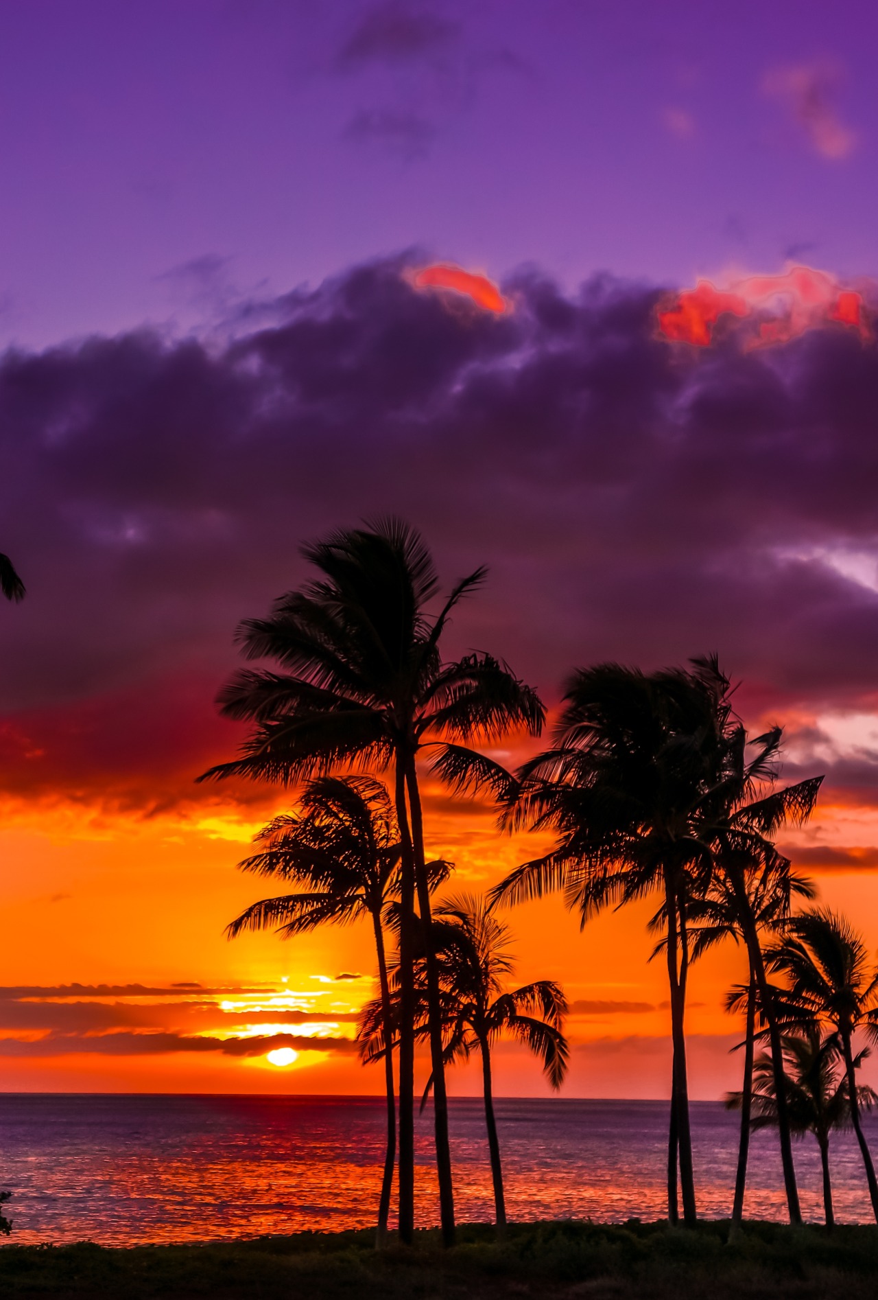 travelingcolors:  Ko Olina Sunset | Hawaii (by shamsazizi) 