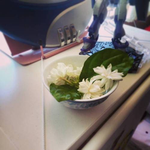 昨晚有小精靈送我花花！！♥♥♥ #flowers #jasmine