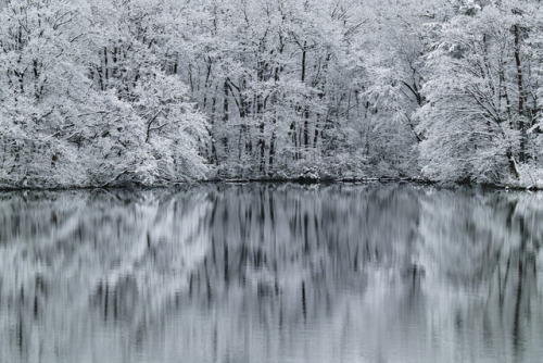 k641739021: (via 白の荘厳 / Magnificent white　by Ryota Suto （ID：6304471）　- 写真共有サイト:PHOTOHITO) 