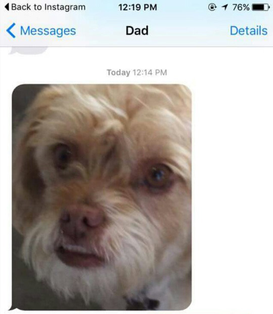 tastefullyoffensive:  Doggy lips. (via imgur)
