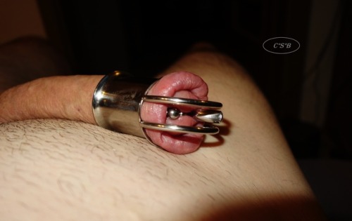 kankutya-blog:  PA lock chastity cage porn pictures