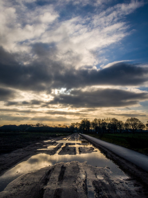 Reflections after the rain.