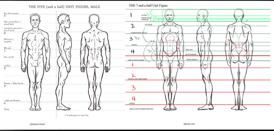 rhimeslex:  jay-h-bomb:  Here’s some awesome figure drawing and anatomy tips, tricks