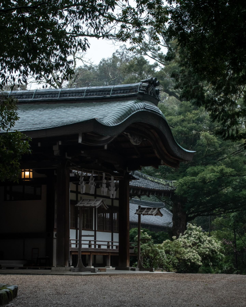 春日大社/春雨 Kasugataisha Shrine/Spring Rainy Day