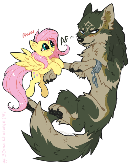 30minchallenge:Fluttershy joins the battle! But really she wants to be friends with all the animals, like Link (in his wolf form).Thanks for participating, Hioshiru!Artists Included: Hioshiru (http://hioshiru.tumblr.com/) <333