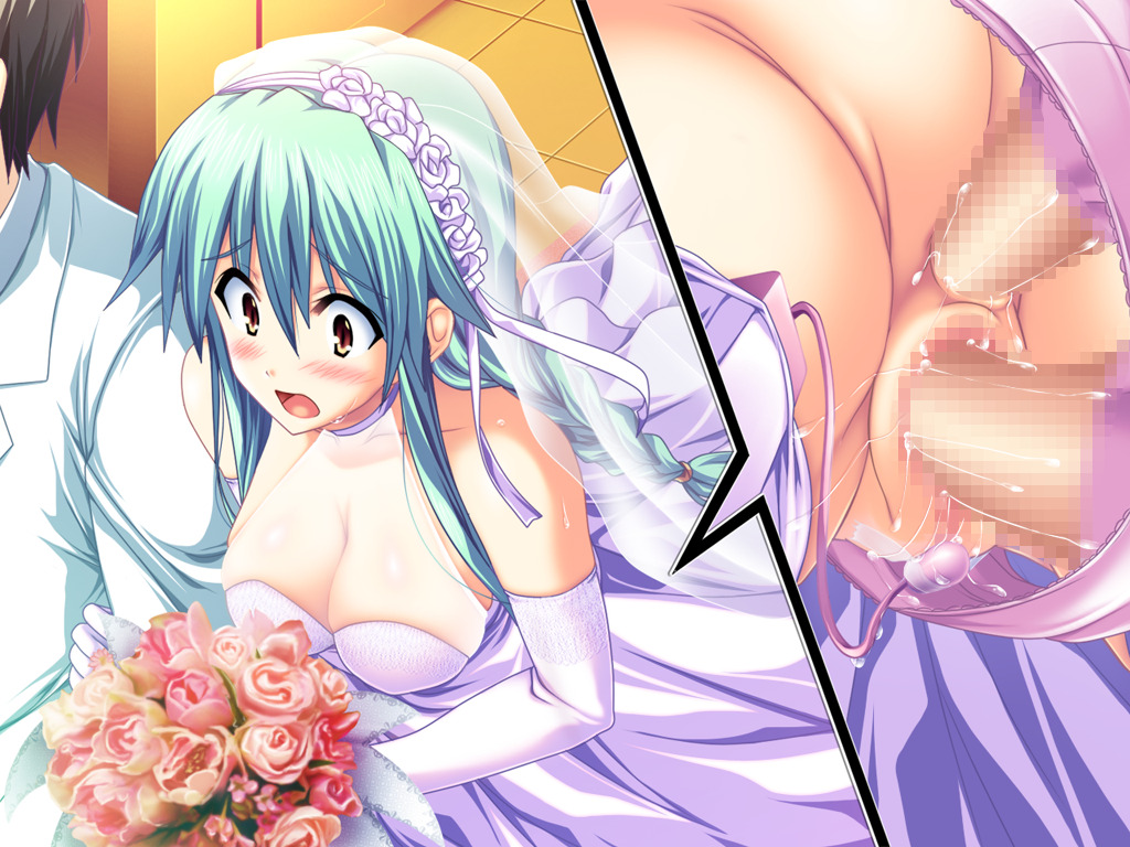 Ecchi Paradise