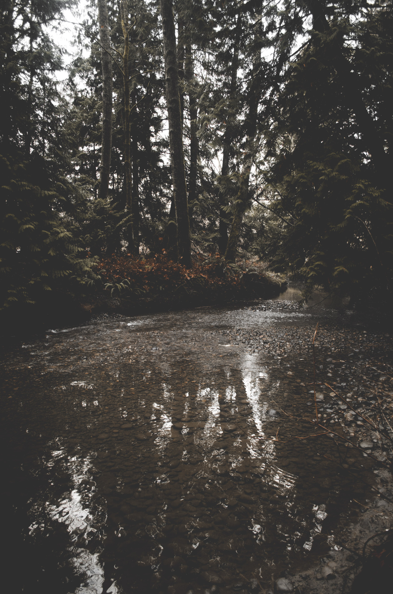  ▲ 