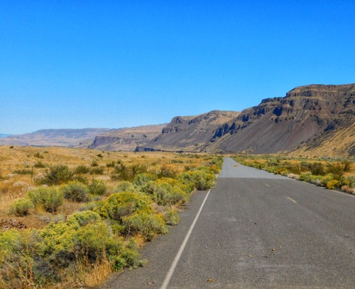 Abandoned Highway, Douglas County, Washington, 2019.