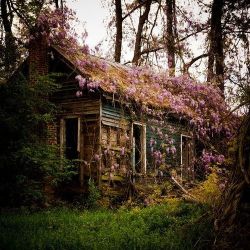 bluepueblo:  Abandoned House, Charleston, South Carolina photo via paula 