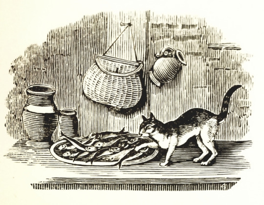 detroitlib: #Caturday! From our stacks: Illustrations from A Collection of One Hundred