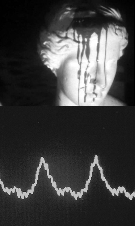 ☠猫スープ☠