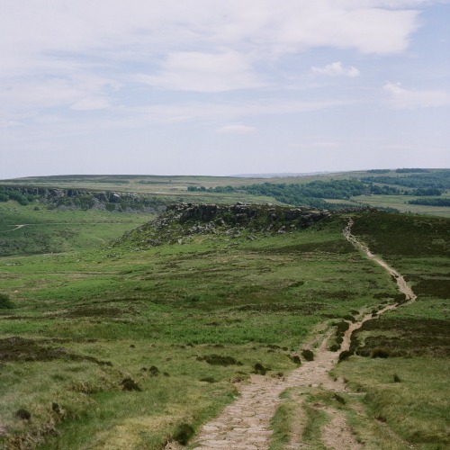 alifeingrain:Peak District - June 2020Rolleicord Vb on Lomography 800