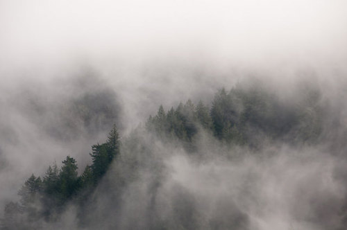 Ethereal Oregon by James Unkov Photography on Flickr.