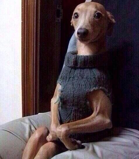 gnarly:  When you go to someones house for the first time and you sit there like  