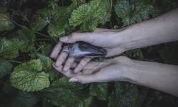 donovanphotographie:  Self-portrait, Nell