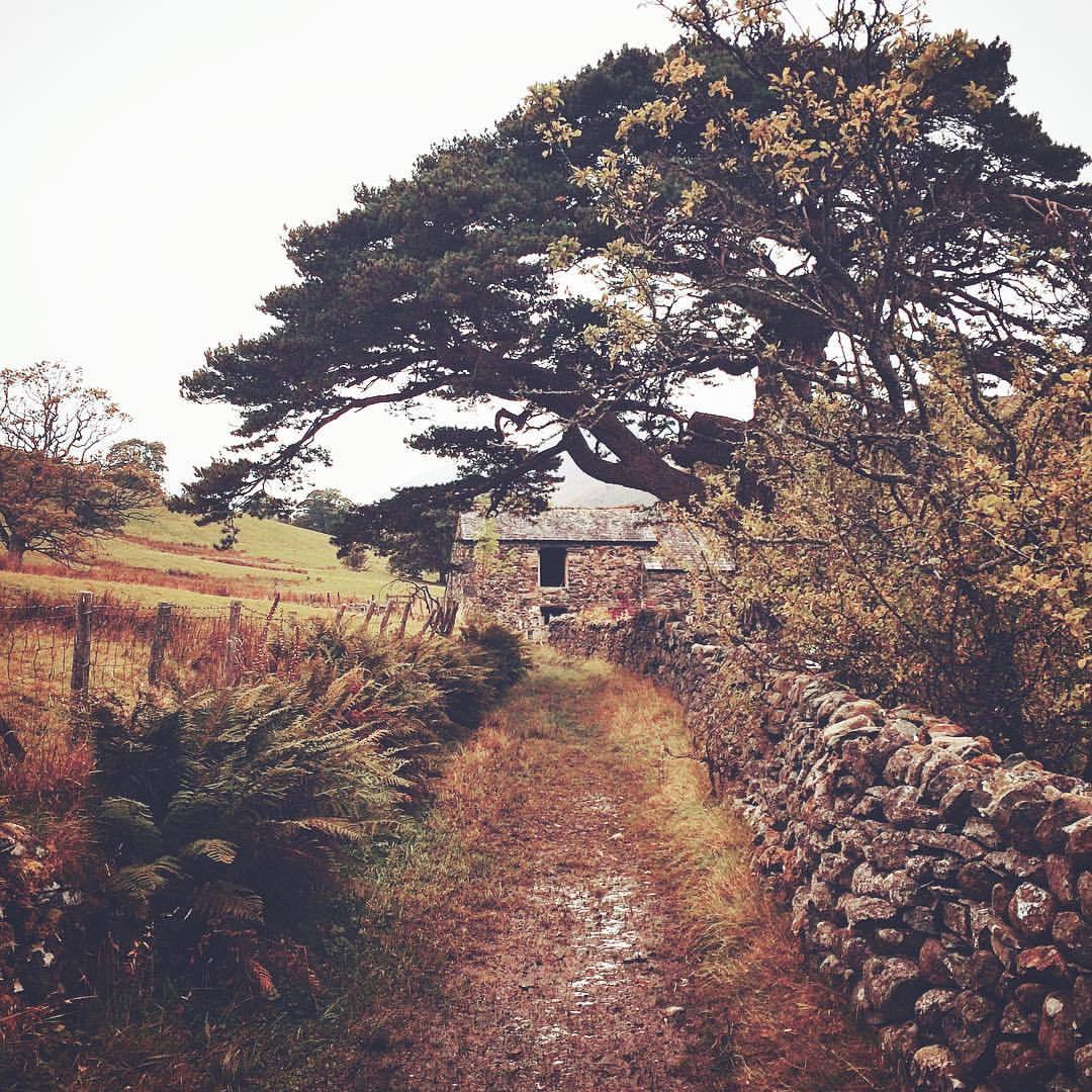 danscape:  • where things can happen •  Lakeland Farm Track, Little Braithwaite.
