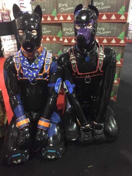 puppyprideuk:  Photos from Sexpo 2015! We had loads of fun showing off what pet play is all about to
