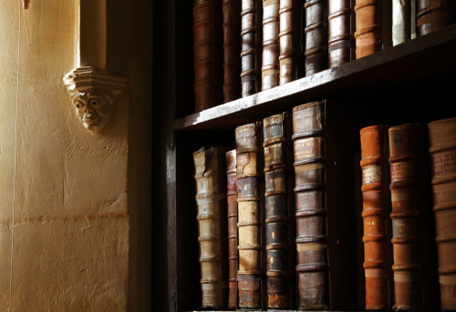bodleianlibs:Pictured above are the earliest extant bookcases in the world.Functional and a little s