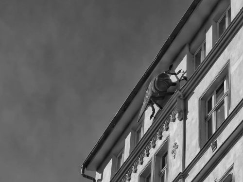 Musė (a fly)#prague #czechrepublic #art #streetart #building #windows #fly #sky #bnw #bnwphotography