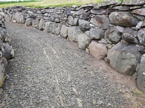 Ardestie Earth House, Angus, Scotland, 20.5.18.An exposed souterrain for a roundhouse settlement. Th