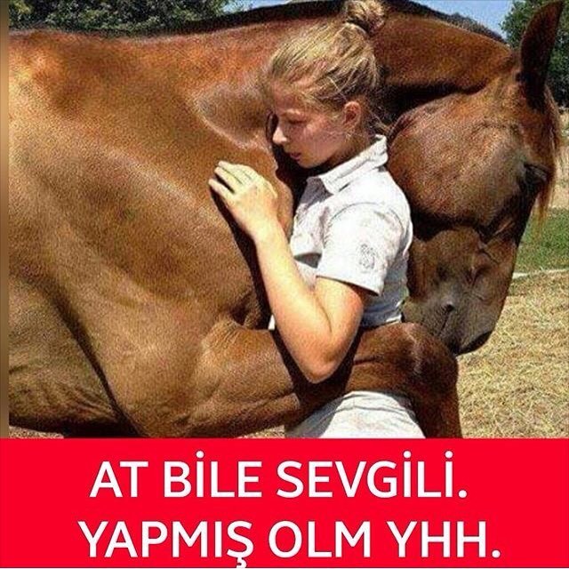 At bile sevgili yapmış olm. yhh.