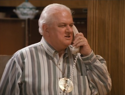  Evening Shade (TV Series) - S4/E2 ’One Down, Three to Go’ (1993)Charles Durning as Dr. Harlan Elldr