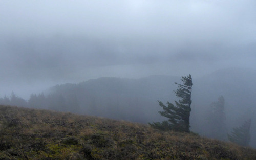 Eerie Dog Mountain by kepPNW