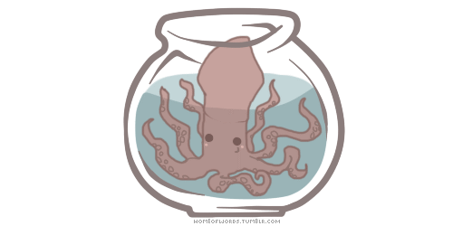 homeofwords:pocket-comrade squid… you need one if you are planning on getting a mini baby kawaiiju…i