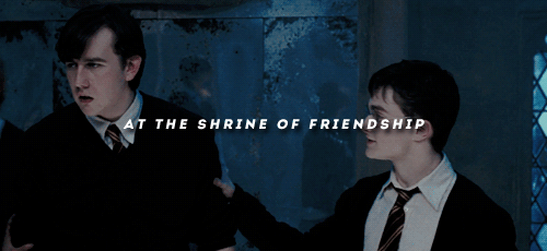 stuckwith-harry:here’s to you, and here’s to me.the very happiest of birthdays to my favourite bee o