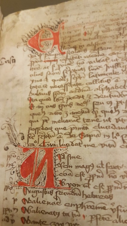 LJS 452 - Ex quo vocabularii varii [et] aute[n]ticiYou never know when a vocabulary comes in handy! 
