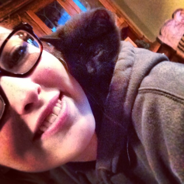 Lucy fell asleep on my shoulders/in my hood too cute #cute #kitten #kitty #selfie #kittylove