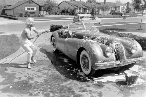 Mamie Van Doren / with her 1954 Jaguar XK 120 Drophead Coupé / photos by Loomis Dean, 1954.