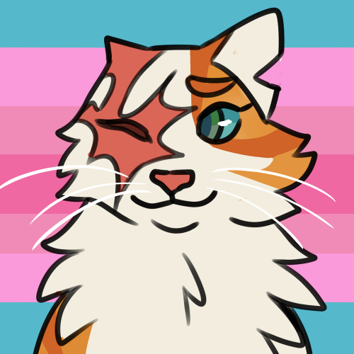 berrym00n: pride batch #2transfemme brightheart, gay asexual littlecloud, demigirl lesbian mossfireo