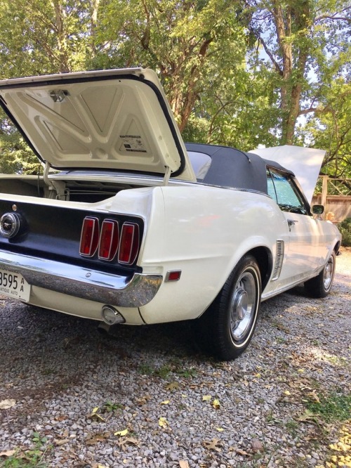 Here’s a 1969 ragtop Mustang with a 220 horsepower 302 mated to an automatic. A smart-looking 