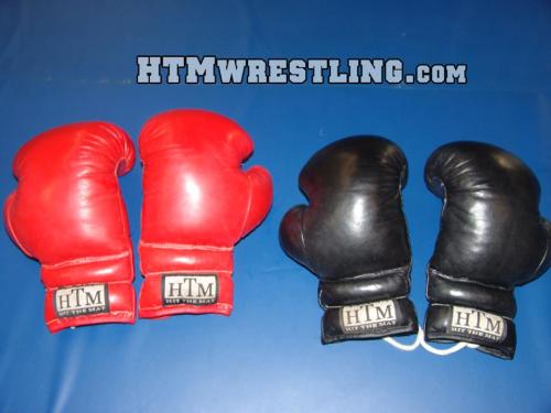 Just some HTM boxing gloves.