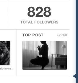 isdoingyoga:  Yowsahs. I usually check tumblr on my phone so I rarely see the activity