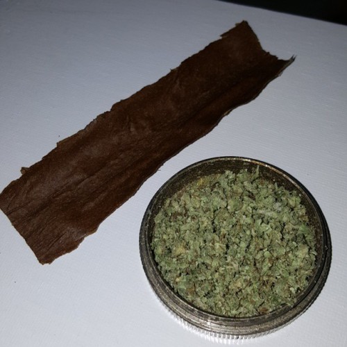 WeedPornDaily Tumblr