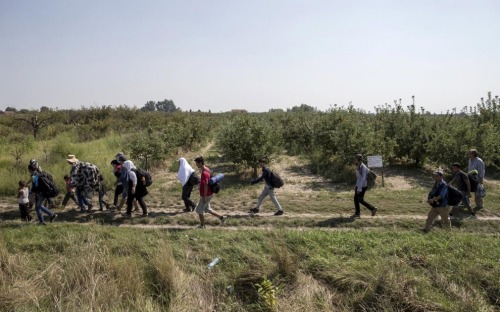 http://america.aljazeera.com/articles/2015/9/3/resentment-of-refugees-builds-on-serbian-border.html