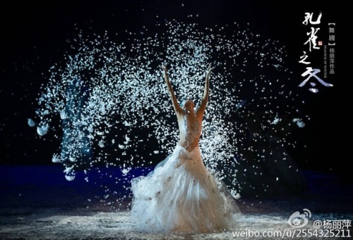 Yang Liping in Peacock of the Winter, a modern interpretation of the traditional Dai peacock dance
