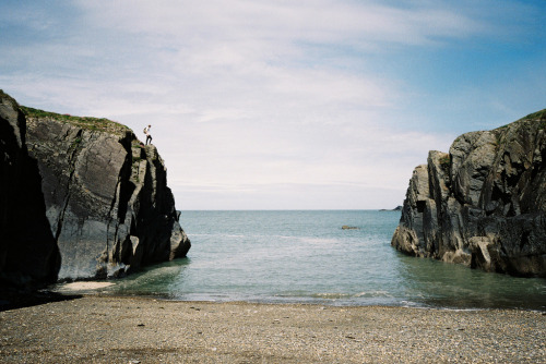 jacindaelena:     Will Bendall