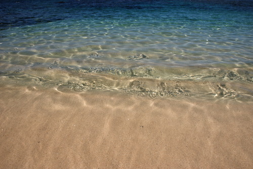 Tropical Blog