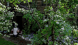 inquisitiveg:Change comes like the seasons, and twice as quick.