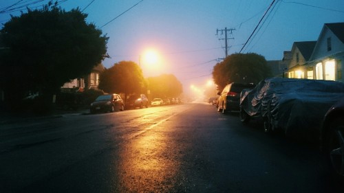 The BayAnyone from here understands the cold, foggy, San Francisco summers. 